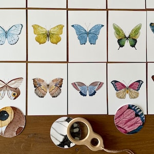 Butterfly Matching Cards, Montessori Materials Printable, Toddler Pattern Matching, Three Part Cards, Nature Study, Homeschool Learning afbeelding 6