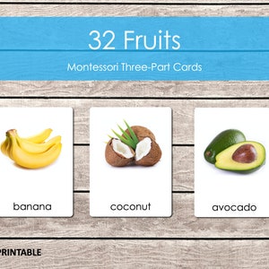 Fruits Montessori Cards, Montessori Materials Printable, Three Part Cards, Montessori Nomenclature Cards, Homeschool Preschool Learning