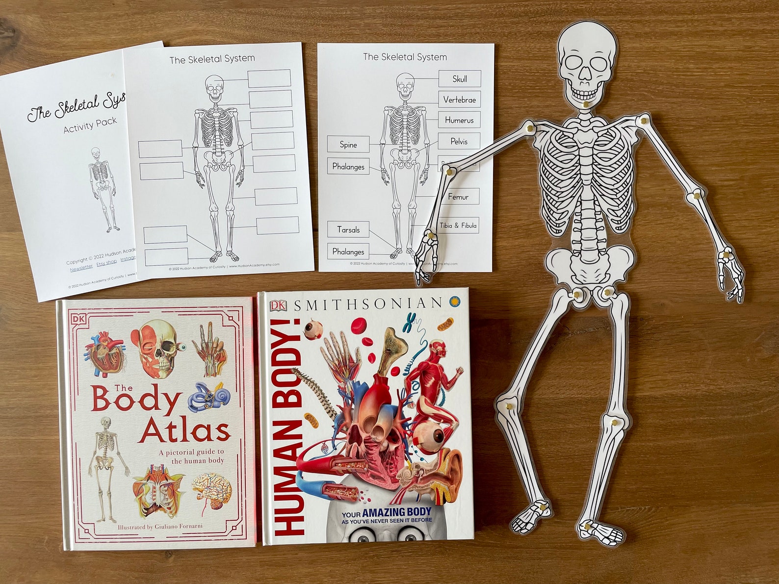 Movable Skeleton DIY Printable Halloween Skeleton Craft - Etsy