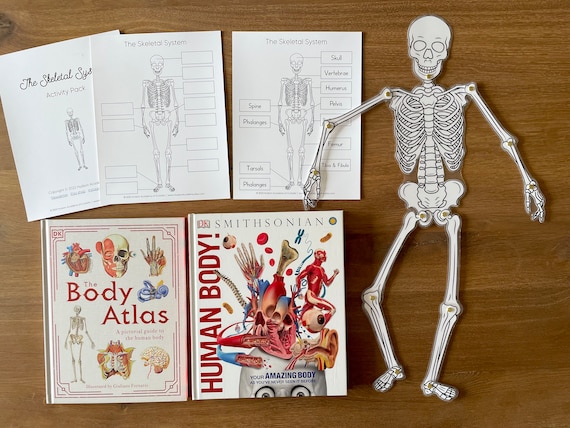 Halloween Movable Skeleton Human Model Skull Full Body Mini Figure Toy