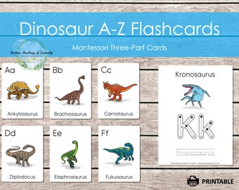 Dinosaur Cards Printable, MONTESSORI MATERIALS PRINTABLE, Three Part Cards, Alphabet Tracing Book, Homeschool Learning, Instant Download