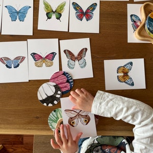 Butterfly Matching Cards, Montessori Materials Printable, Toddler Pattern Matching, Three Part Cards, Nature Study, Homeschool Learning image 5