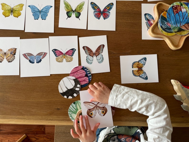 Butterfly Matching Cards, Montessori Materials Printable, Toddler Pattern Matching, Three Part Cards, Nature Study, Homeschool Learning afbeelding 5