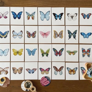 Butterfly Matching Cards, Montessori Materials Printable, Toddler Pattern Matching, Three Part Cards, Nature Study, Homeschool Learning afbeelding 3