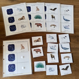 Constellations Astronomy Printable, Star Gazing Guide Printable ...