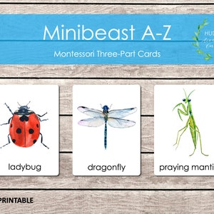 Minibeast A-Z Flashcards, Montessori Three-Part Cards, Nomenclature Cards, Educational Material, Bugs Beetles Alphabet, Insects Printable