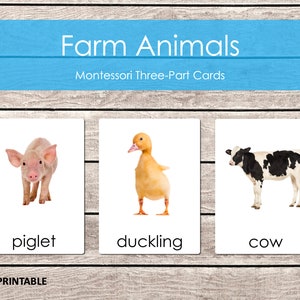 Farm Animals Cards Printable, Montessori Materials Printable, Three Part Cards, Nomenclature Cards, Homeschool Learning, Instant Download
