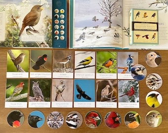 Backyard Birds Cards, Birds Matching Flashcards, Montessori Materials Printable, Three Part Cards, Homeschool Nature Study Printable