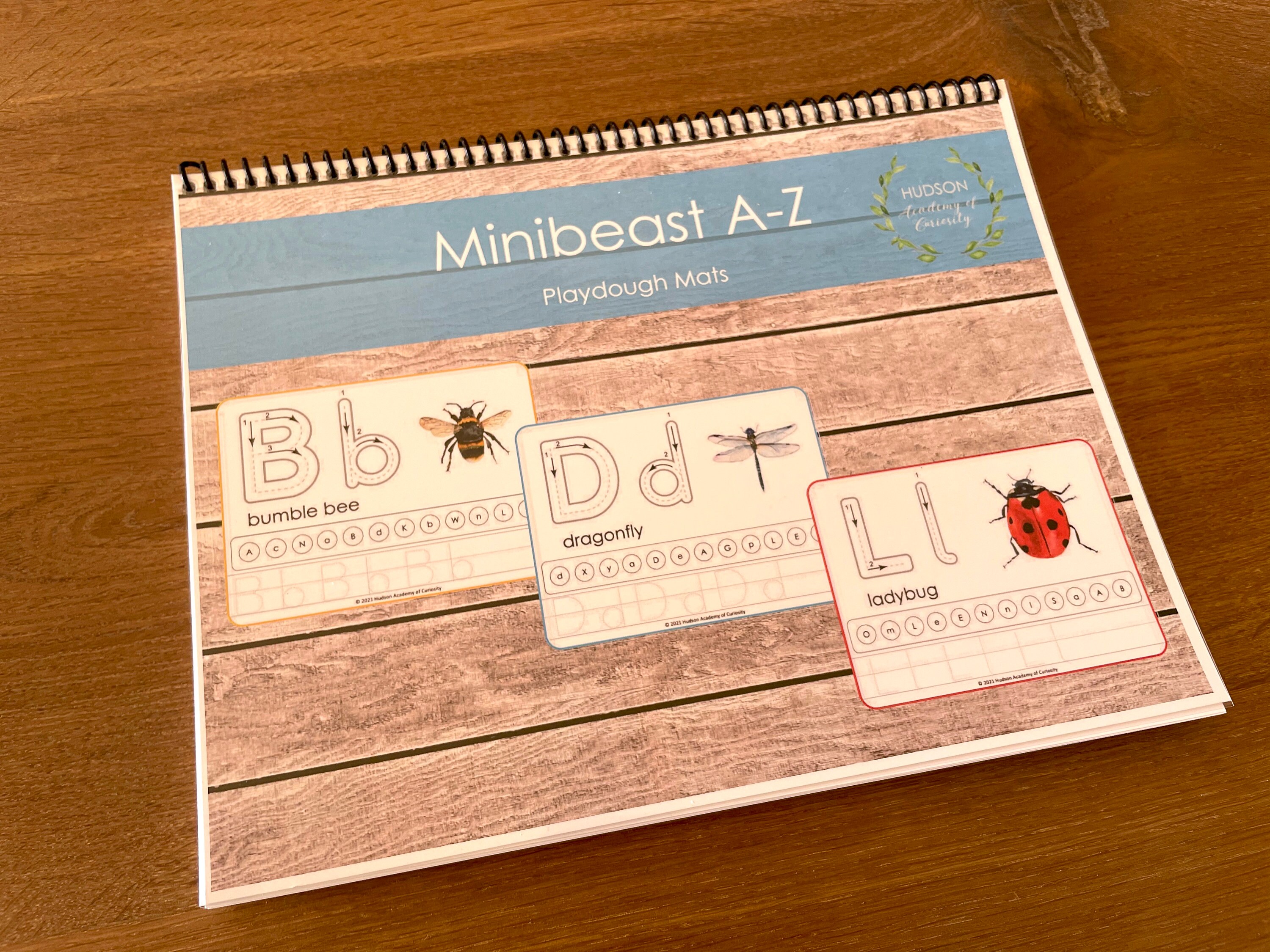 Minibeasts Play Dough Mats Playdoh Alphabet Mat Printable Etsy Canada