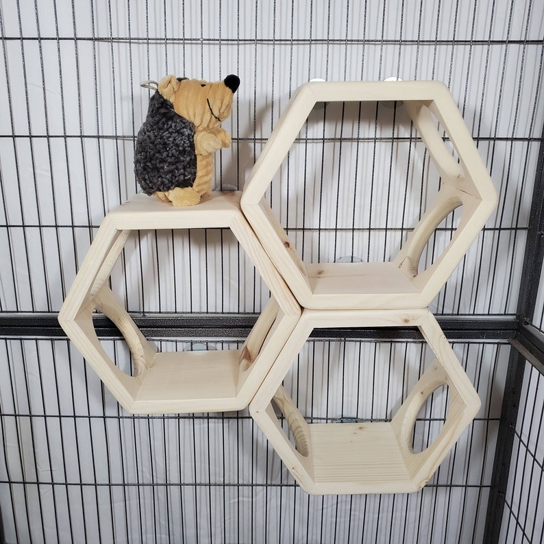 Chinchilla Ledge Shelf Hexagon Hide Kiln Dried Pine Wood Etsy