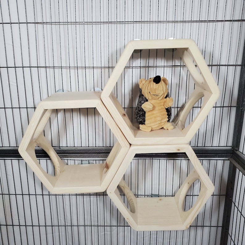 Chinchilla Ledge Shelf Hexagon Hide Kiln Dried Pine Wood Etsy