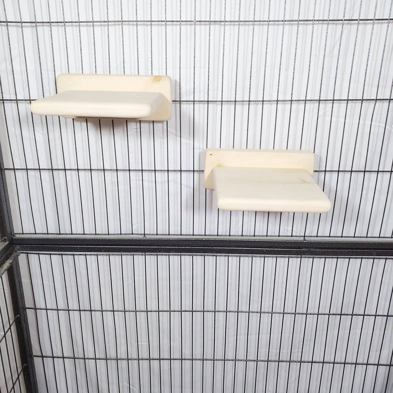 Chinchilla ledge shelf 6inch with poop guard kilndried pine Etsy