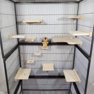 Chinchilla ledge shelf 12 item bundle hide kiln dried pine wood