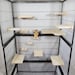 Chinchilla ledge shelf 12 item bundle hide kiln dried pine wood 