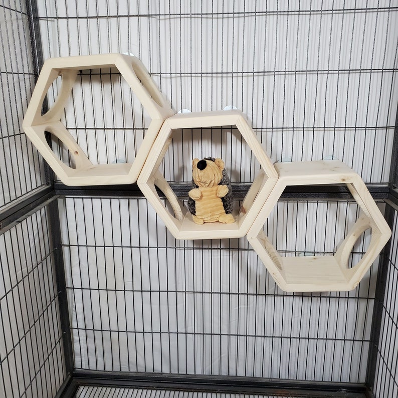 Chinchilla Ledge Shelf Hexagon Hide Kiln Dried Pine Wood Etsy