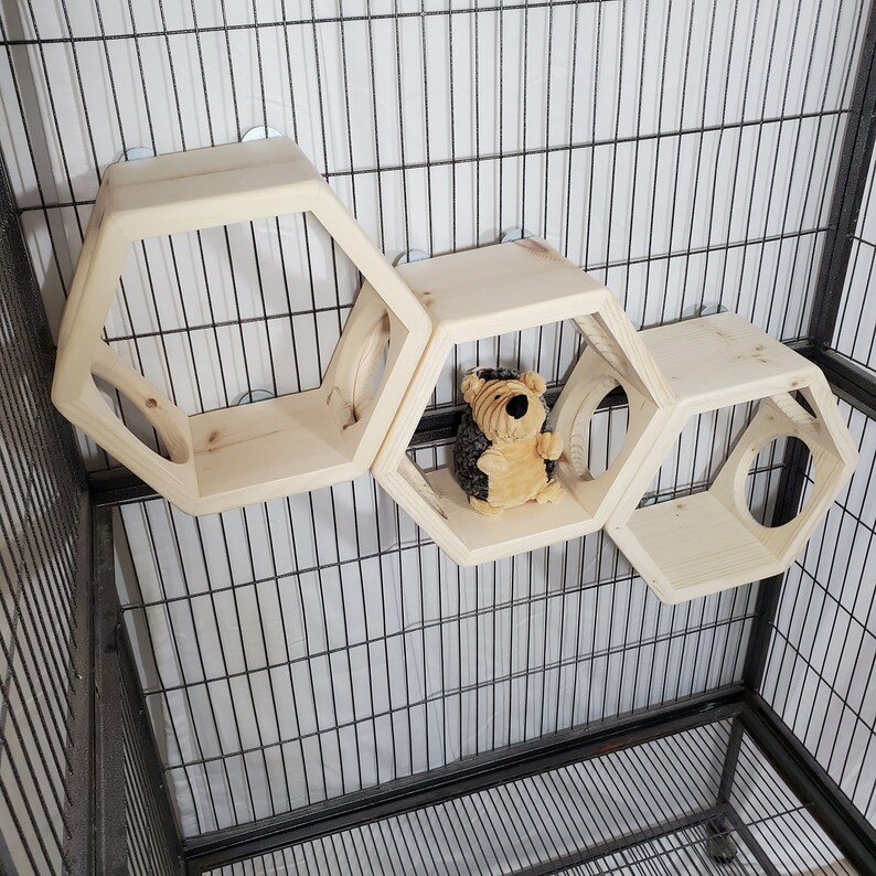 Chinchilla Ledge Shelf Hexagon Hide Kiln Dried Pine Wood Etsy