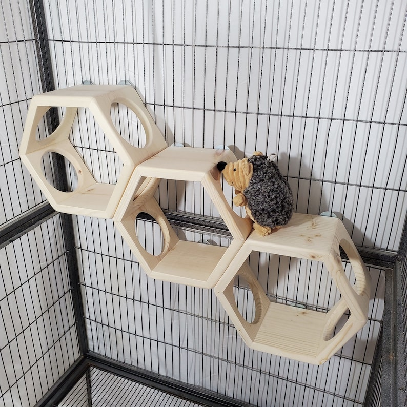 Chinchilla Ledge Shelf Hexagon Hide Kiln Dried Pine Wood Etsy