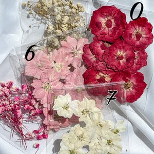 May include: Four bags of dried flowers, labeled 6, 7, 0, and a fourth bag without a label. The bags contain white, pink, and red flowers.