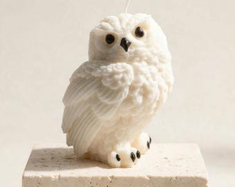 May include: A white owl-shaped candle with detailed feather textures, black eyes, a black beak, and black talons. A single white wick protrudes from the top of the owl's head. The candle is sculpted in a realistic sitting pose.