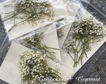 Schleierkraut getrocknet und gepresst | 10 Stiele resin Zubehör |  Trockenblumen