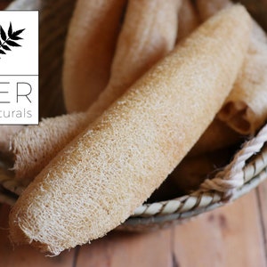 Natural Loofah large, full size exfoliator