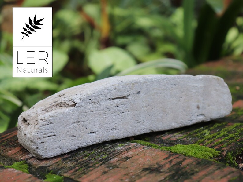 Pumice Stone White, Volcanic, Extra Large, Fine Grain, Natural Etsy