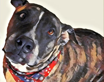 Digital Download Pitbull Art