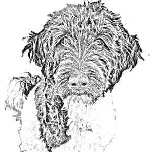 Digital Download Black and White Doodle Art