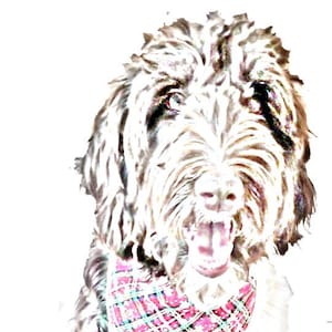 Digital Download*Doodle Art