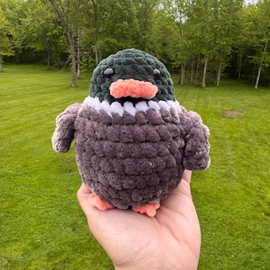 May include: A handmade, plush duck toy with a dark green head, a white and gray body, and orange feet and beak. The duck is made of soft, textured yarn and has small black eyes. The toy is held in a hand against a backdrop of green grass and trees.