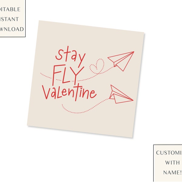 Valentine Cards, Classroom Valentine Cards, Valentine Gift Tag, Airplane Valentine, Printable, Instant Download, Digital File