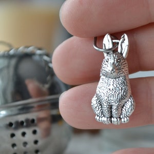 Può includere: Infusore per tè in argento a forma di coniglio seduto. L'infusore ha un design dettagliato ed è pronto per essere utilizzato per l'infusione del tè.
