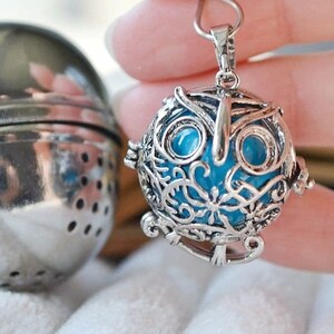 Op de afbeelding: Een zilveren uilvormige hanger met een blauw glazen hart. De hanger hangt aan een zilveren ketting en wordt vastgehouden door een hand.