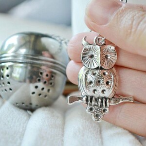 Può includere: Infusore da tè a forma di gufo color argento con un ciondolo decorativo a forma di gufo. Il gufo è appollaiato su un ramo e presenta dettagli. Un infusore da tè sferico e perforato è attaccato al ciondolo a forma di gufo tramite una catena.