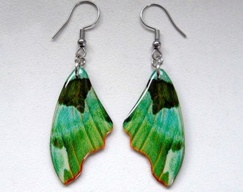 May include: A pair of earrings with a butterfly wing design. The earrings are green and teal with dark green accents and red edges. They hang from silver-coloured hooks.