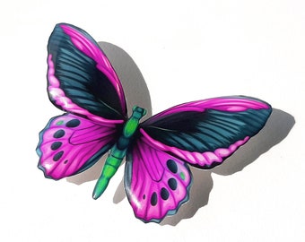 May include: A vibrant butterfly with magenta and teal wings, accented with black details and green body. The butterfly is set against a white background, casting a shadow.