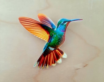 May include: A colourful hummingbird with a long beak and iridescent green, blue, and orange feathers. The hummingbird is in flight with its wings spread out.