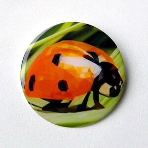 COCCINELLA TONDA in resina cristallina SPILLA, Coccinella Pin, Oiginal Spilla Disegnata di Coccinella, Coccinella Poligoni Spilla, Spilla Insetto, Spilla Insetto