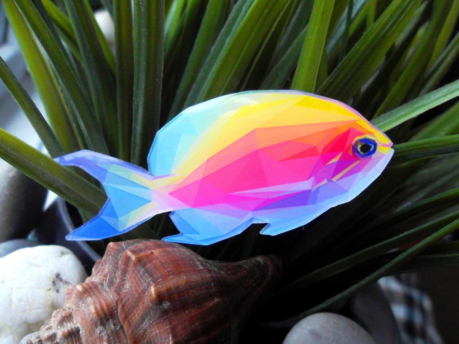 Punky-Spilla In Cristallo, A Fora Di Pesce Pesci Da Donna - Foto 8