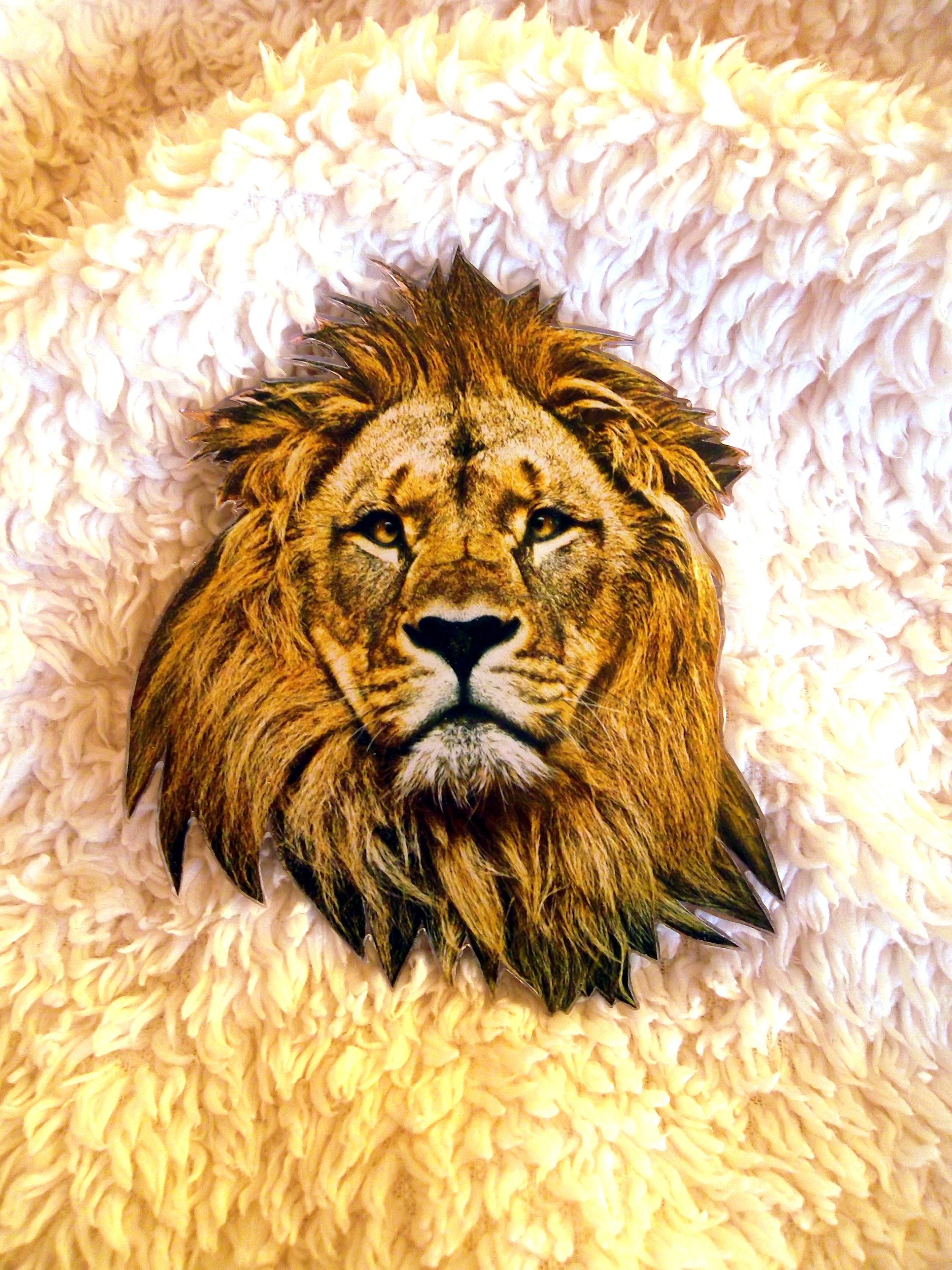 ブローチ・コサージュ Lion Head Brooch Vintage Anne Klein Lion Head Brooch Pin Gold Tone | eBay