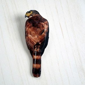 May include: A detailed hawk figurine viewed from above. The bird features brown and black feathers, a yellow beak, and yellow eyes. The figurine is set against a white, wood-grain background.