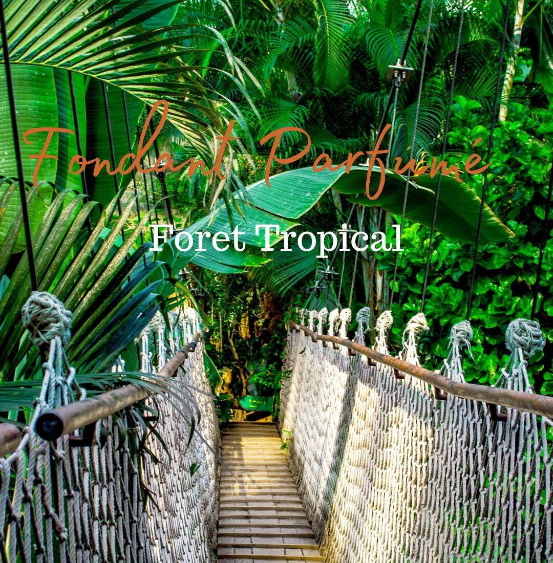 Fondant Parfumé Foret Tropical