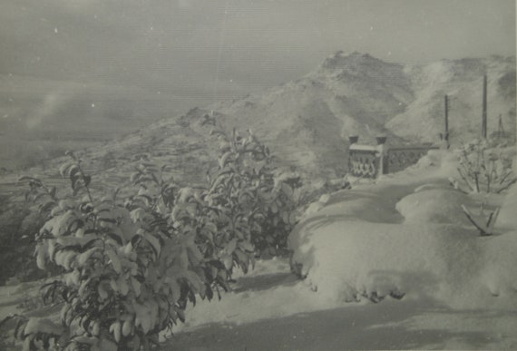 Large Original Vintage Photograph . Dream Landscape . Like a