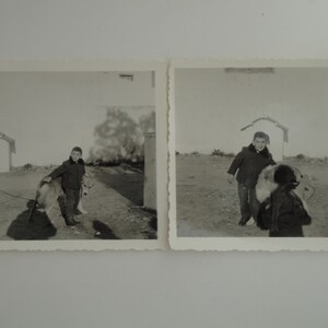 Pair of Original Vintage  Photographs . Happy Boy and his Pet .  ca.1950