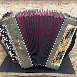 Könnte beinhalten: Ein grün-weißes Akkordeon mit schwarzen und goldenen Knöpfen. Das Akkordeon hat ein rotes Stofffutter und die Aufschrift "Ukraina" an der Seite.