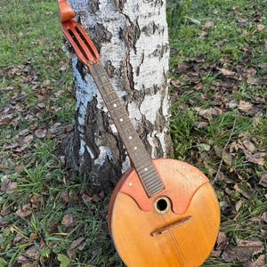 Puede incluir: Un instrumento de cuerda antiguo, con cuerpo redondo y mástil de madera, apoyado en un árbol. El instrumento presenta un cuerpo marrón claro, un mástil de color naranja rojizo y un diapasón oscuro. Probablemente sea un tipo de mandolina o instrumento folclórico similar.