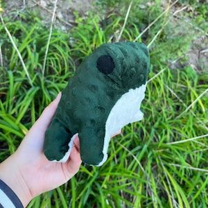 May include: A plush green frog toy with a white belly and a black eye. The frog is sitting in a person's hand.