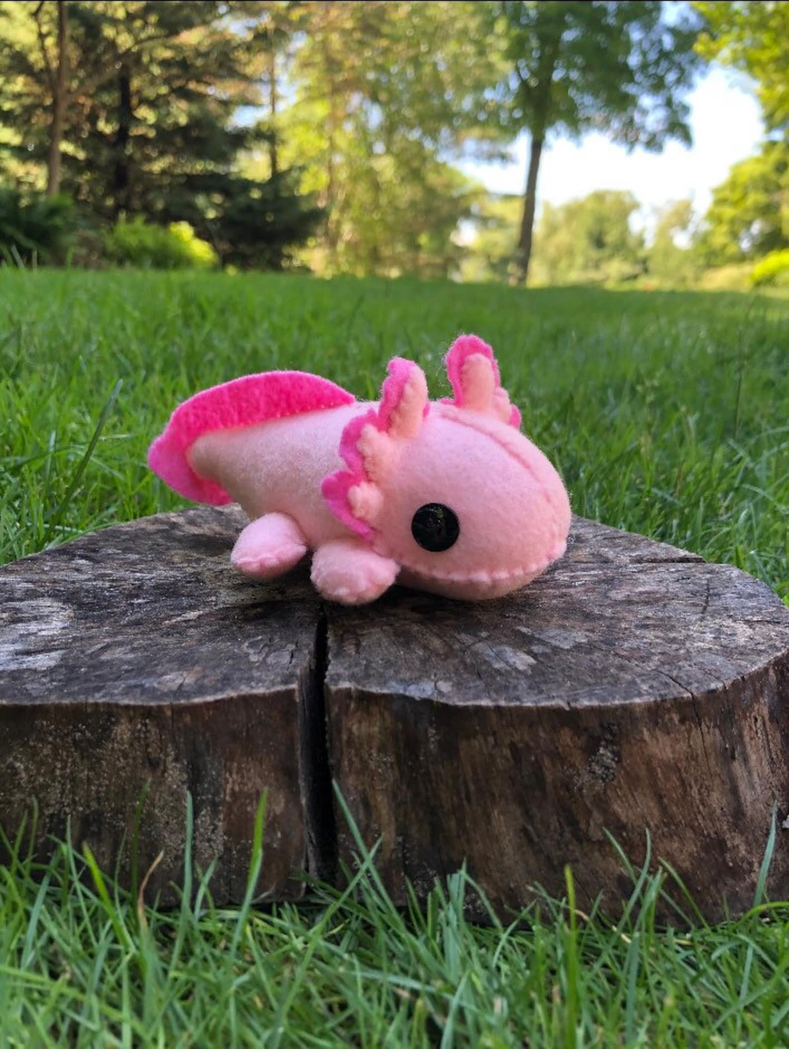 Felt Axolotl plush stuffed animal Etsy