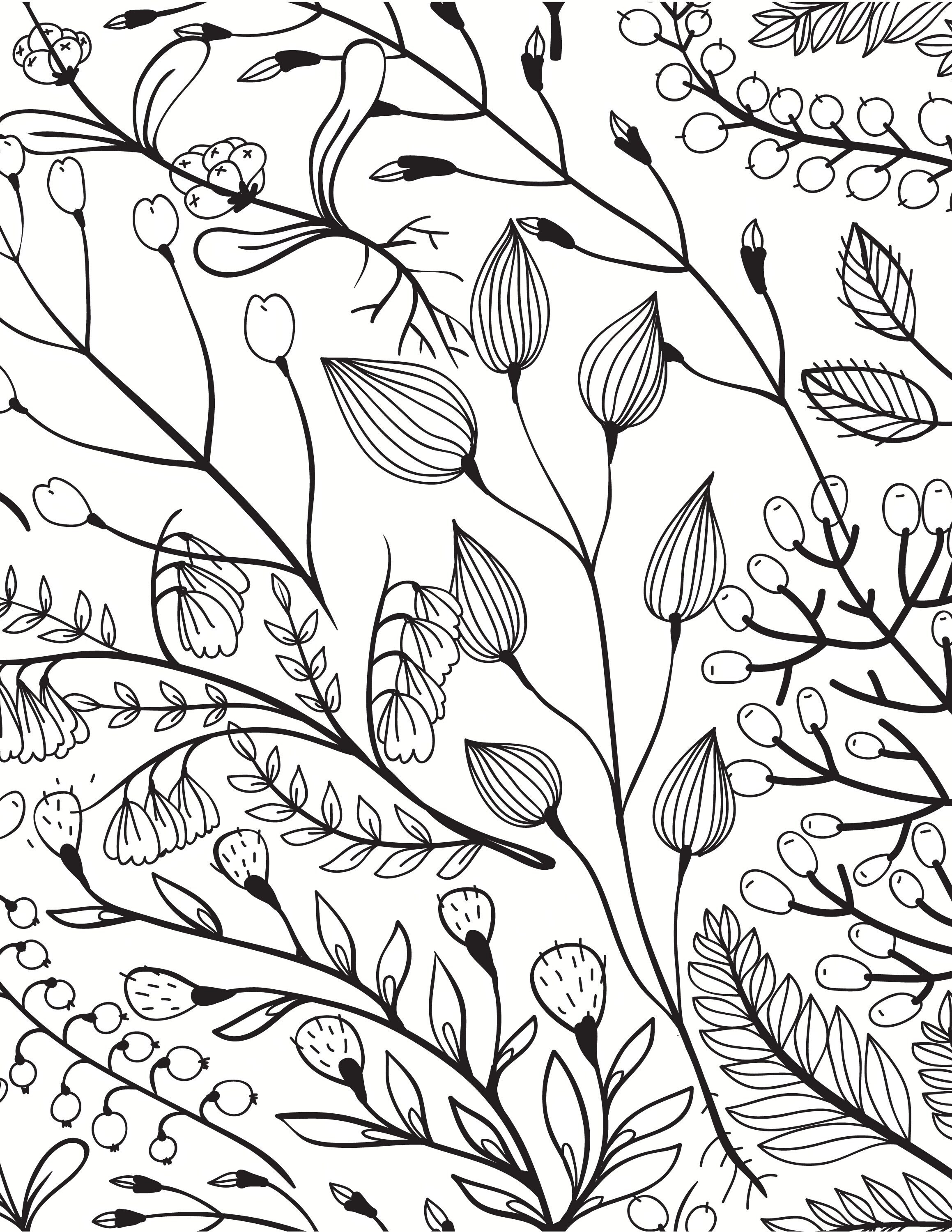 Nature Themed Coloring Pages Printable Coloring Pages for Etsy