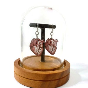 Anatomical Heart Earrings